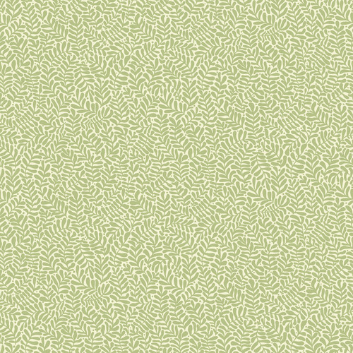 2999-55001 Anna Fern Trail Wallpaper in Light Green Colors with Illustrative Curling Forms Leaves Botanical Style Non Woven Unpasted Wall Covering by Brewster