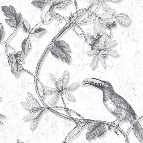 Norwall Manor House MH36529 Toucan Toile Wallpaper Black