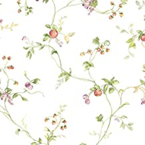 Norwall Wallcoverings  KC28534 Fresh Kitchens 5 Mini Fruit Trail Wallpaper Pink, Purple, Green