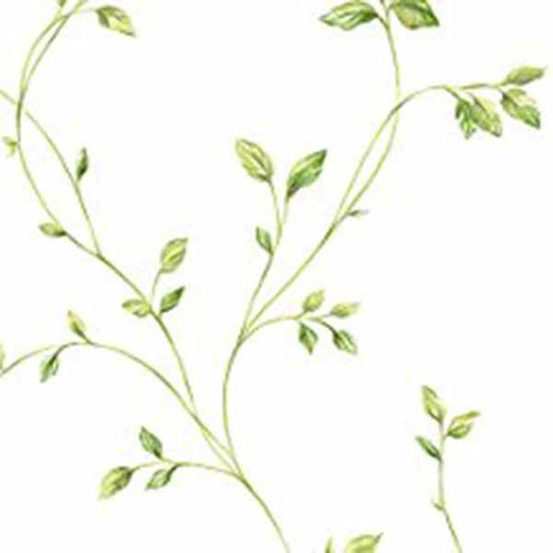 Norwall Wallcoverings  KC28550 Fresh Kitchens 5 Watercolor Leaves Wallpaper Green