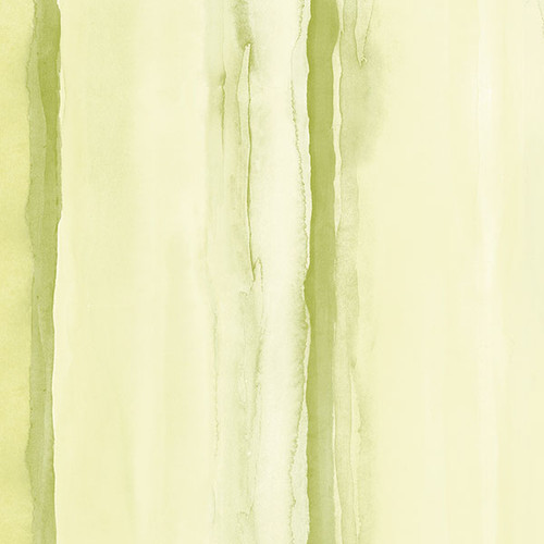 Norwall Wallcovering Paradise PA34204 Beach Stripe Green Yellow Wallpaper