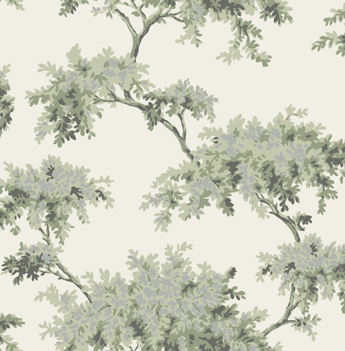 M1674 Ashdown Tree Wallpaper in Sage Green Colors with Silver Detailing Modern Style Non Woven Unpasted Wall Covering by Brewster
