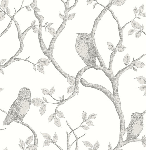 FD23289 Enchanted Forest Owl & Tree Wallpaper in Grey Colors with a Touch of Whimsy Modern Style Non Woven Unpasted Wall Covering by Brewster