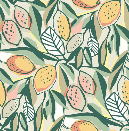 4014-26419 Meyer Peach Orange Citrus Botanical Wallpaper Non Woven Unpasted Wall Covering Seychelles Collection from A-Street Prints by Brewster Made in Great Britain