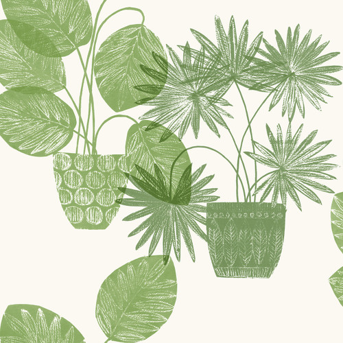 4014-87558 Aida Green Gray Potted Plant Botanical Wallpaper Non Woven Blend Unpasted Wall Covering Seychelles Collection from A-Street Prints by Brewster Made in Great Britain