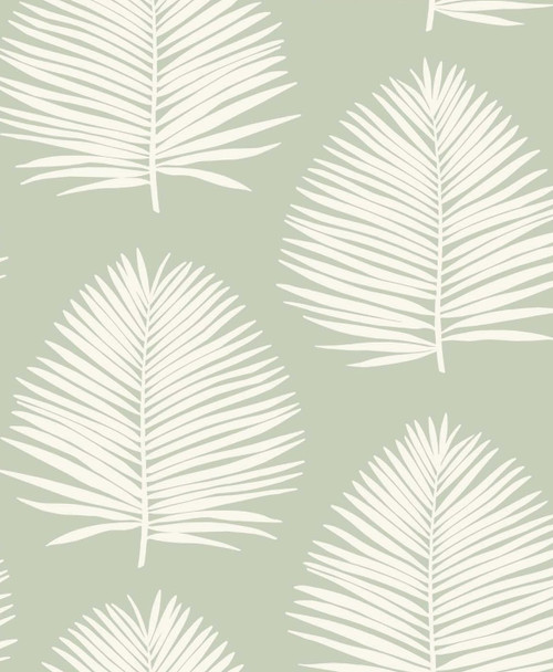 SL80704 Island PalmCeladon Green Wallpaper Coastal Style Wall Covering The Simple Life Collection by Seabrook Designs Made in Netherlands