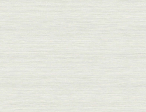 TS81434 Silk Seedling Gray Wallpaper Contemporary Style Type II 20 oz. Vinyl Wall Covering Even More Textures Collection by Seabrook Designs Made in United States