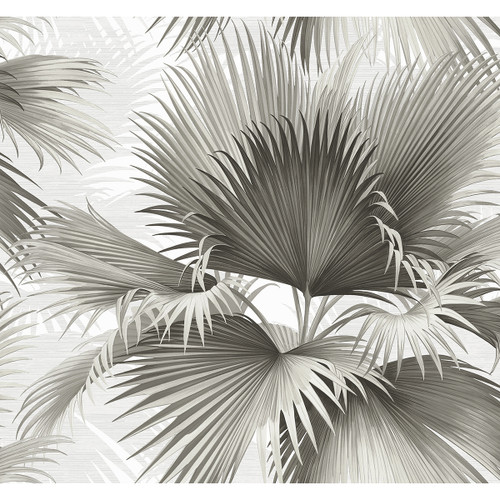 2927-40100 Summer Palm Tropical Charcoal Gray Botanical Theme Unpasted Gravure Acrylic Coated Wallpaper from A-Street Prints Newport Made in United States