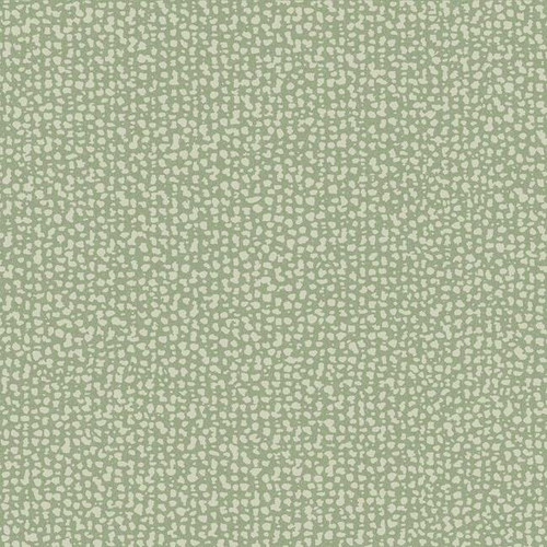 DD3801 Galaxies Green Geometrics Theme Unpasted Non Woven Wallpaper from Antonina Vella Dazzling Dimensions Volume II Made in United States