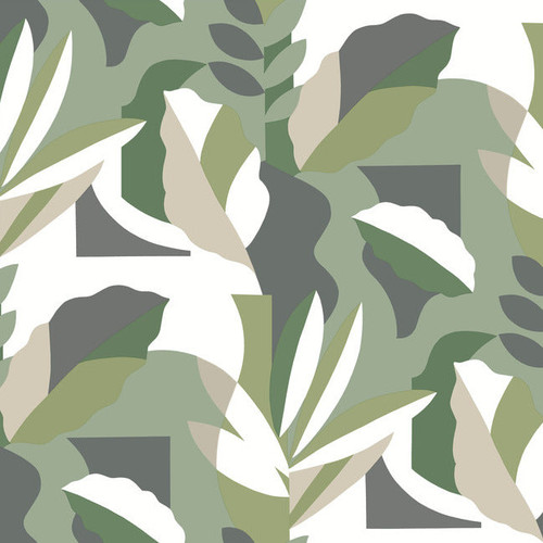 AG2005 Papier Colle Green Gray Off White Tropical Theme Unpasted Non Woven Wallpaper from Artistic Abstract