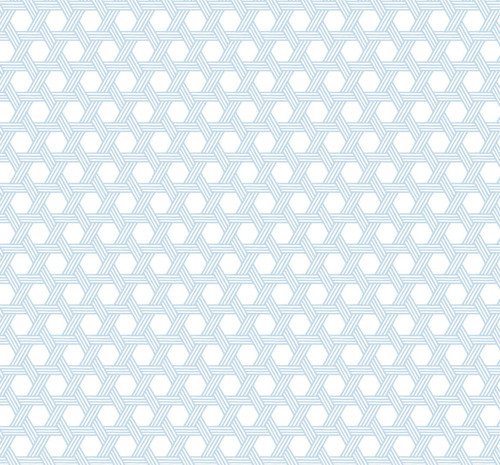 LN10202 Cabana Wicker Carolina Blue and Eggshell Wicker Theme Heavyweight Uncoated Paper (FSC) Unpasted Wallpaper Luxe Retreat Collection Made in United States