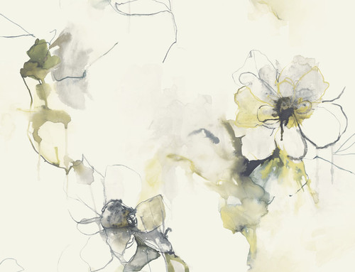 LW50007 Anemone Watercolor Floral Dark Ash and Canary Floral Theme Heavyweight Acrylic Coated Paper (FSC) Unpasted Wallpaper Living with Art Collection Made in United States