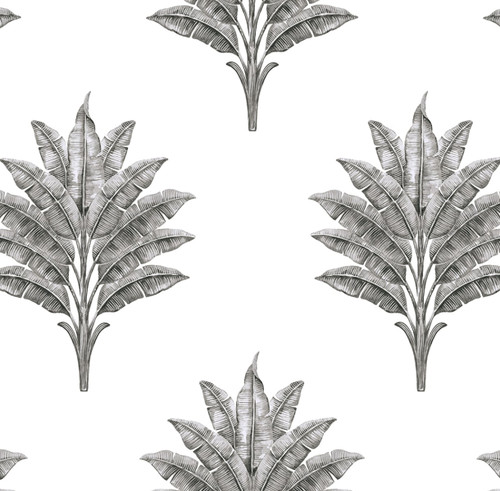HG10600 Sea Breeze Palm Charcoal Botanical Theme Vinyl Self-Adhesive Wallpaper Harry & Grace Peel and Stick Collection Made in United States
