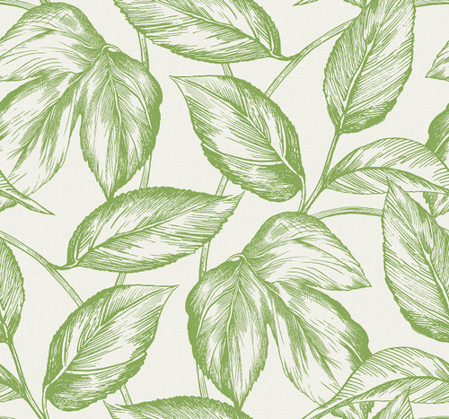 SC20004 Beckett Sketched Leaves Apple Green Botanical Theme Nonwoven Unpasted Wallpaper Summer House Collection Made in United States