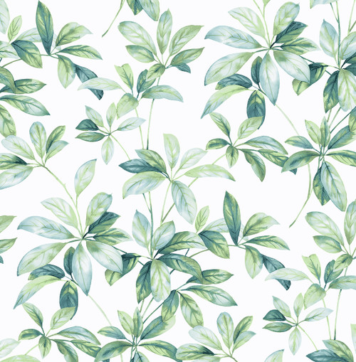 NW45604 Leaf Trail Seaglass Botanical Theme Vinyl Self-Adhesive Wallpaper NextWall Peel & Stick Collection Made in United States