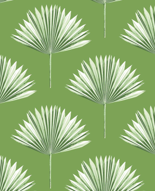 NW46504 Tropical Fan Palm Green Sprout Botanical Theme Vinyl Self-Adhesive Wallpaper NextWall Peel & Stick Collection Made in United States