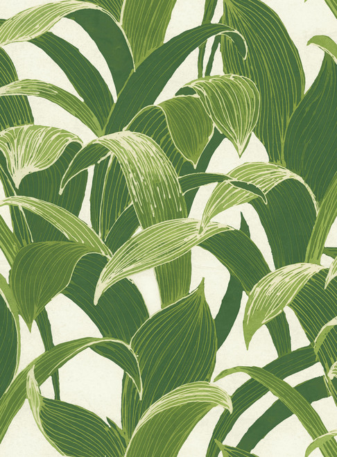 NW31300 Banana Groves Green & White Botanical Theme Vinyl Self-Adhesive Wallpaper NextWall Peel & Stick Collection Made in United States