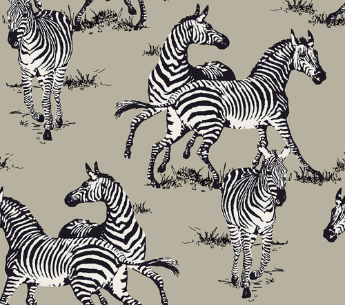 HG11102 Playful Zebras Light Blue Animal Print Theme Vinyl Self-Adhesive Wallpaper Harry & Grace Peel and Stick Collection Made in United States