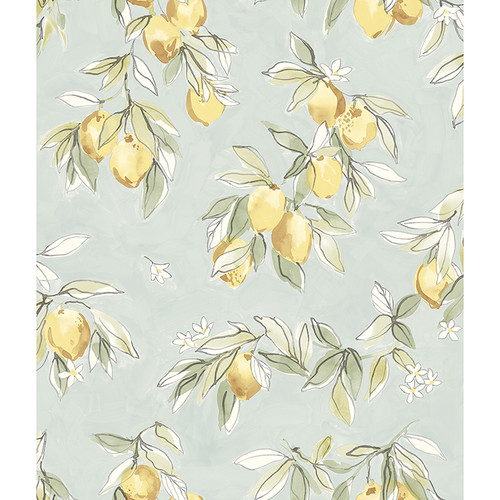 4134-72508 Lemonade Aqua Blue Citrus Sure Strip Prepasted Wallpaper from Wildflower by Chesapeake Made in United States