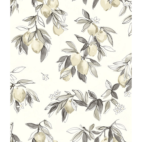 4134-72507 Lemonade Charcoal Gray Citrus Sure Strip Prepasted Wallpaper from Wildflower by Chesapeake Made in United States