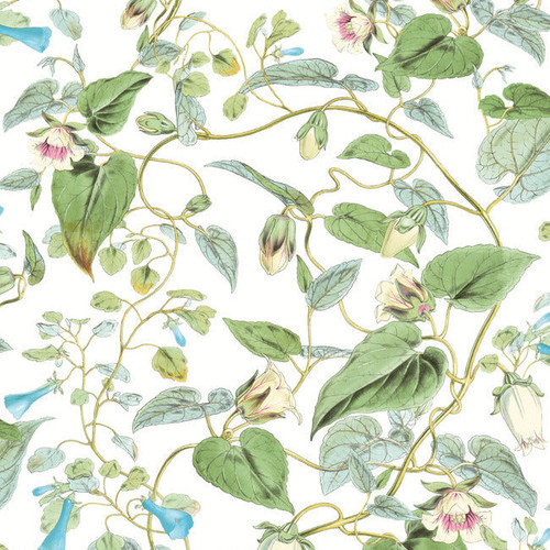 BL1711 Moon Flower Off White Green Floral Theme Unpasted Non Woven Wallpaper from Blooms Second Edition Resource Library
