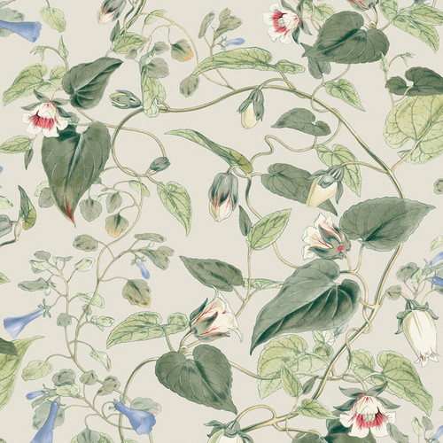 BL1713 Moon Flower Light Taupe Floral Theme Unpasted Non Woven Wallpaper from Blooms Second Edition Resource Library