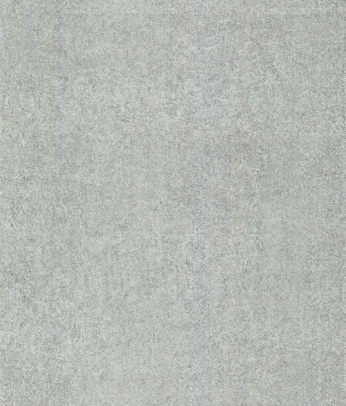 2976-86483