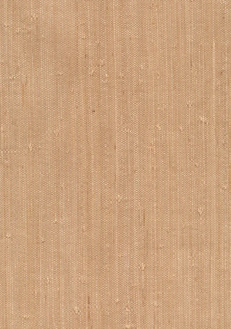 53-65429