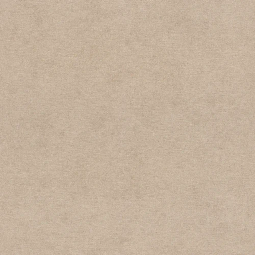 4202-408164