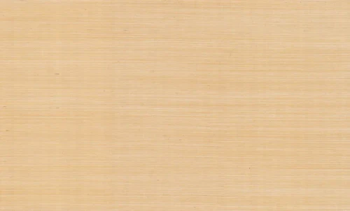 GV0111NWFD