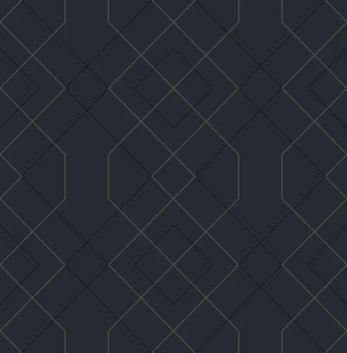 2964-25913