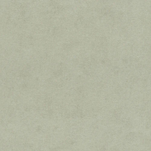 4202-408171
