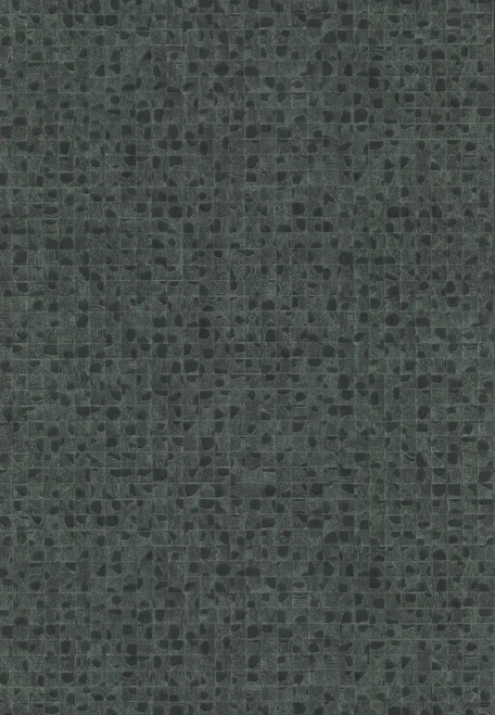 HO2116