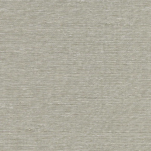 2807-8004