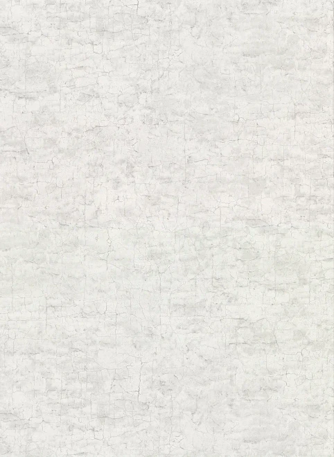 2921-51108