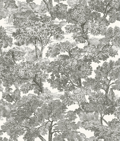 Chesapeake by Brewster 3115-12542 Spinney Black Toile Wallpaper