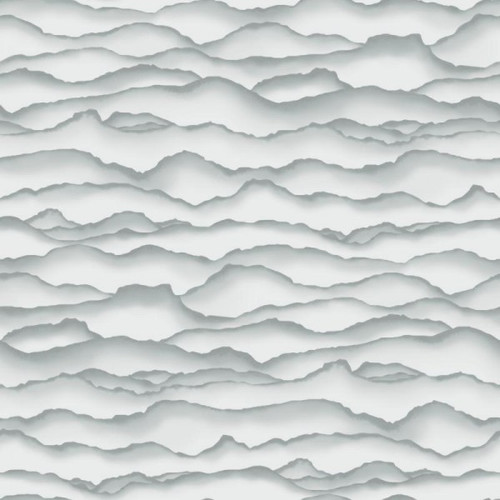 RoomMates RMK10695WP Singed Grey Peel & Stick Wallpaper Grey