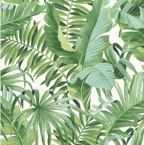 A-Street Prints 2744-24136 Alfresco green Palm Leaf Wallpaper