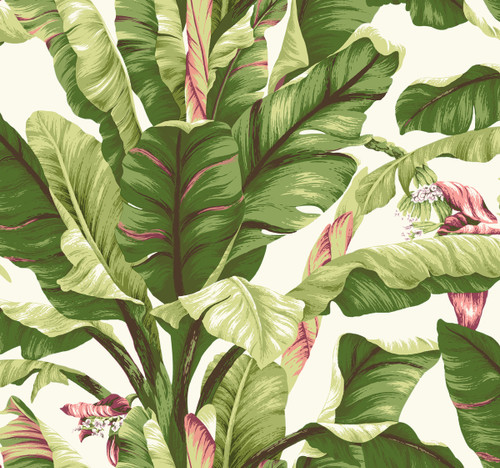 York Wallcoverings AT7067 Tropics Banana Leaf Wallpaper, White, Lit