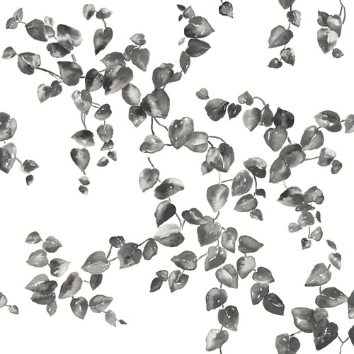 York Wallcoverings FH4038 Creeping Fig Vine Wallpaper Black/White