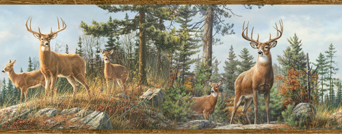 Chesapeake by Brewster HTM48463B Outdoors Fern Brown Whitetail Portrait Border