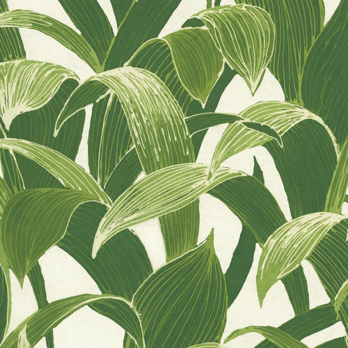 Tropical Banana Leaves Peel & Stick Wallpaper GW1004, Green Contact Paper