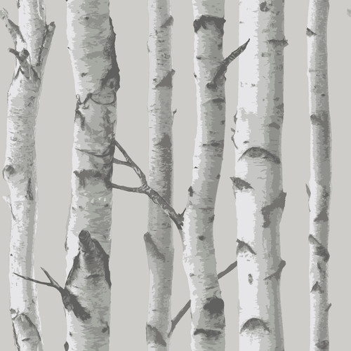 NU1694 Mountain Birch Peel & Stick Wallpaper with Tree Forest in Grey Off White Colors Modern Style Peel and Stick Adhesive Vinyl