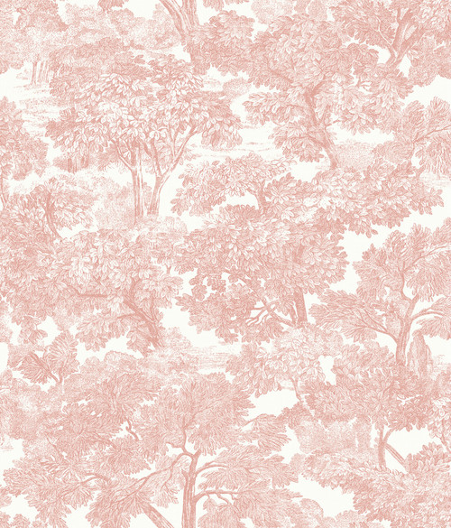 Chesapeake by Brewster 3115-12544 Spinney Rose Toile Wallpaper