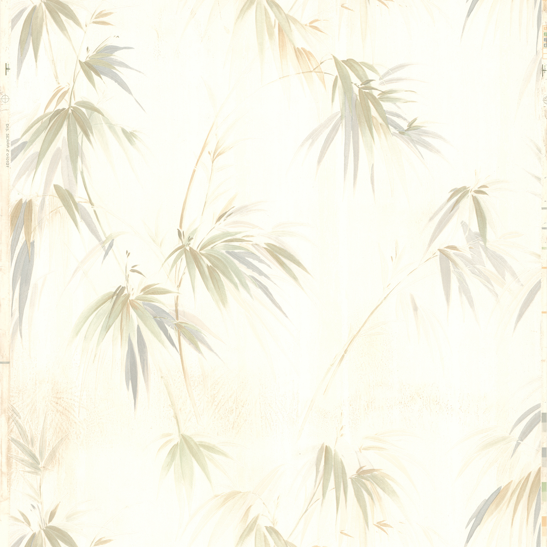 edulis wallpaper