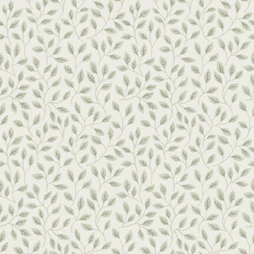 Posey Light Green Vines Wallpaper