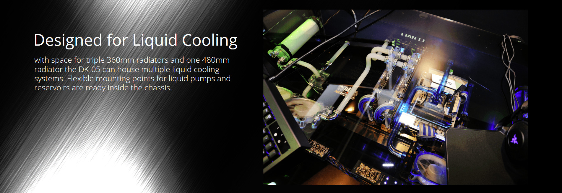 dk-05-7.jpg dk-05-7.jpg