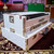 national music white 3 line 9 scale changer harmonium with built in shruti box