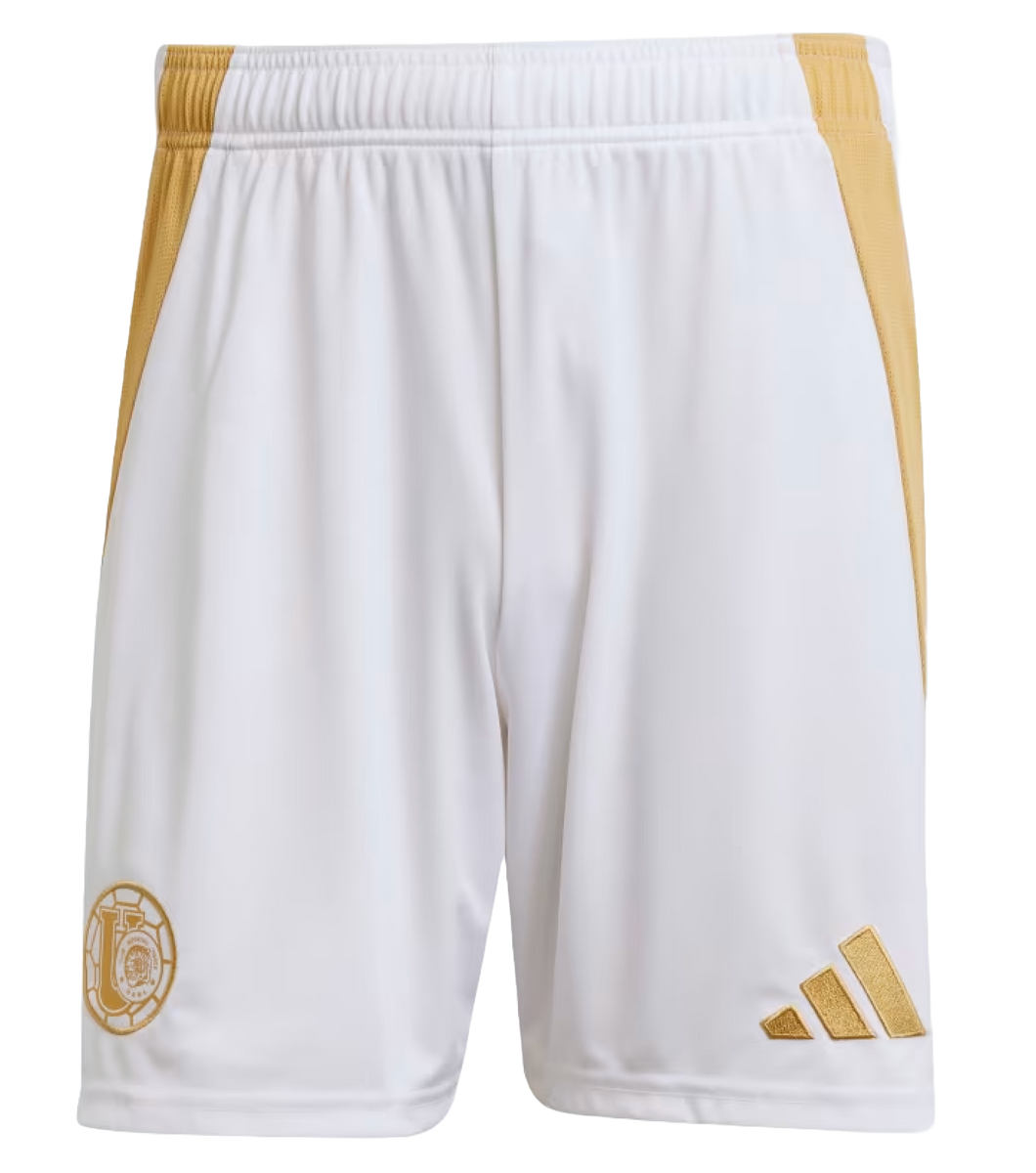 Tigres UANL 24/25 Kid's Third Shirt and Shorts