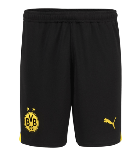 Borussia Dortmund 23/24 Authentic Men's Home Shirt